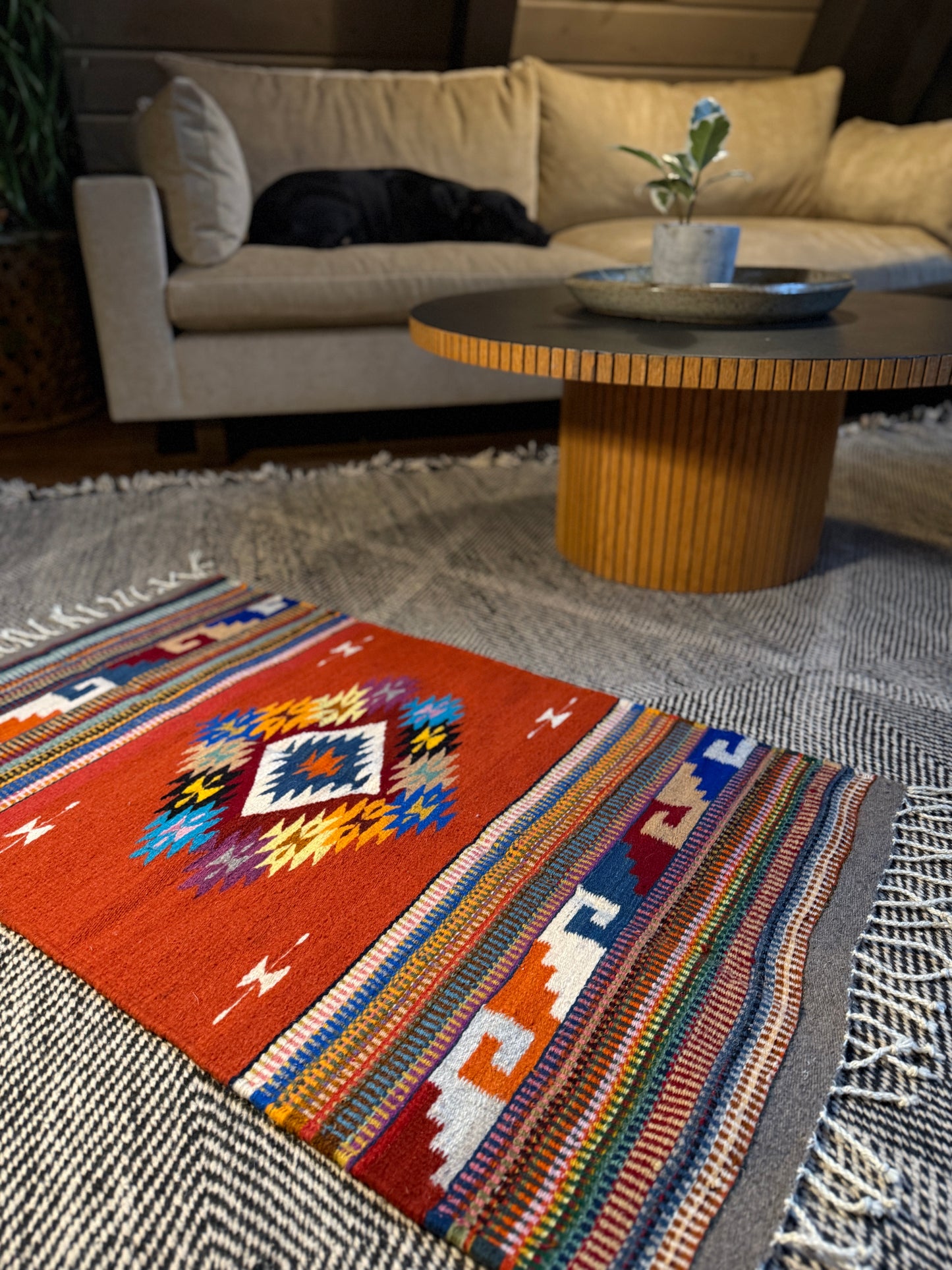 Mexico Textile - Color Splash