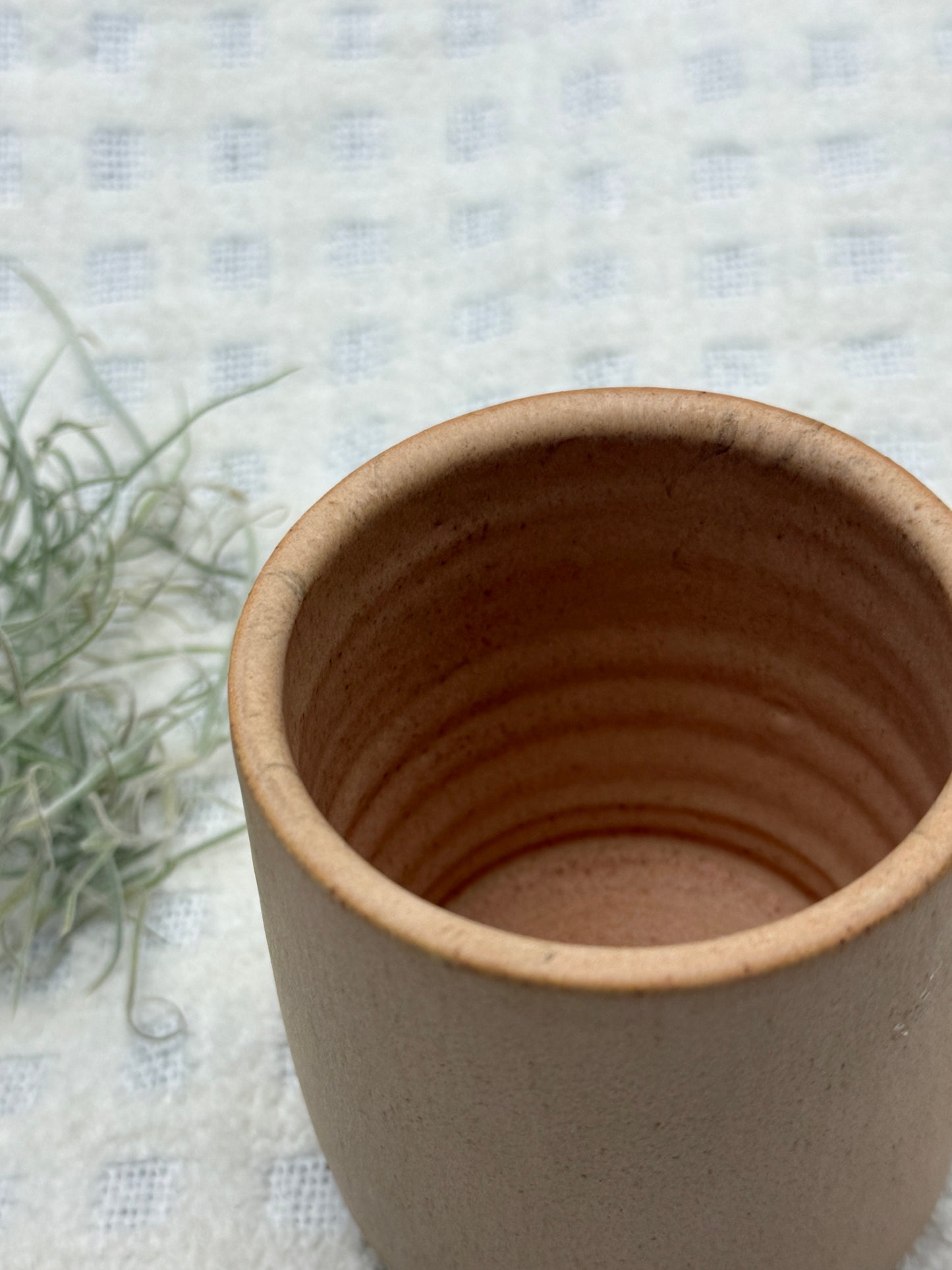 Barro Natural Mugs - Oaxaca